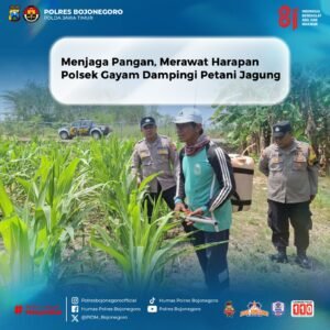 Dukung Asta Cita Presiden RI, Polsek Gayam Dampingi Petani Jagung di Ds. Katur Kec. Gayam